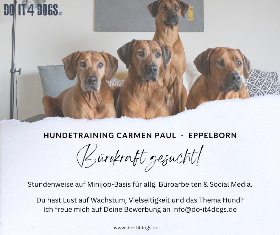 Bürokraft gesucht - DO IT 4 DOGS - Hundeschule Saarland