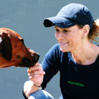 Carmen Paul DO IT 4 DOGS