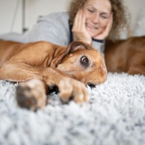 Hundetraining - DO IT 4 DOGS - Hundeschule Saarland