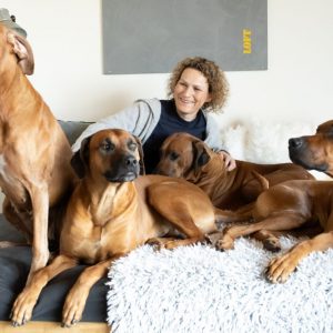 Hundetraining - DO IT 4 DOGS - Hundeschule Saarland